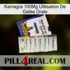 Kamagra 100Mg Utilisation De Gelée Orale 11